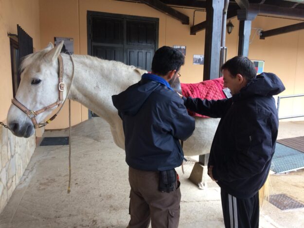 Campamento Carriegos ASPACE VALLADOLID