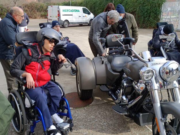 Pingüinos 2023 Aspace Valladolid